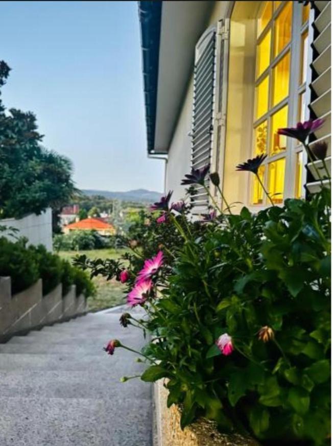 A Casa De Abelleira Ponteareas Bed & Breakfast Exterior foto